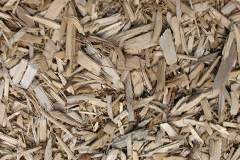 biomass boilers Canonbie